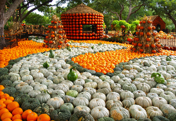 America S Best Pumpkin Festivals The Luxonomist