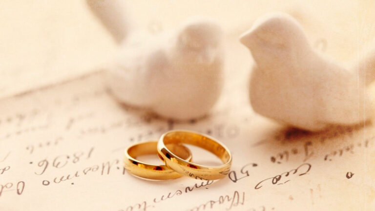anillos boda alianzas