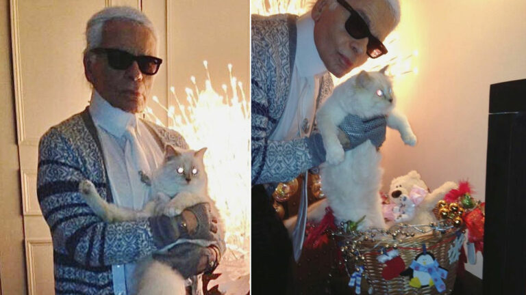 Choupette La Gata Karl Lagerfeld La Gran Estrella De La Gala Met