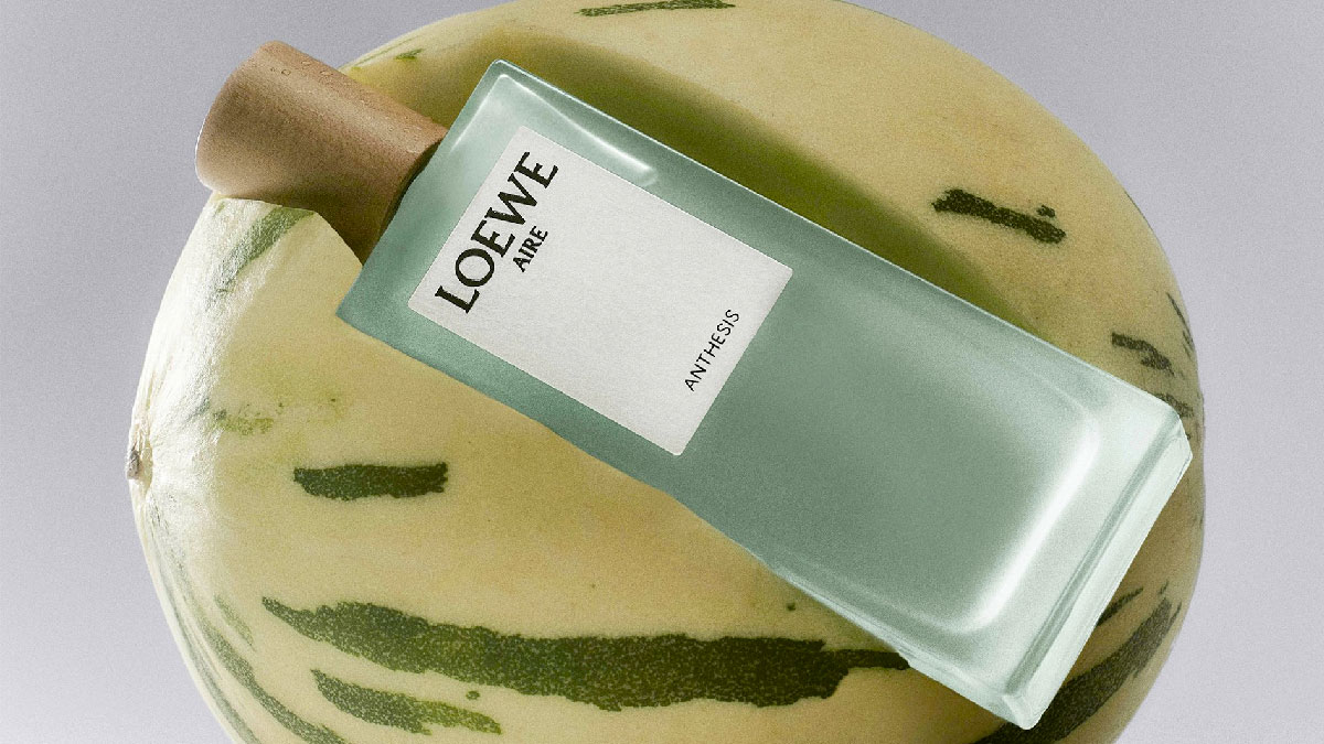 loewe aire anthesis