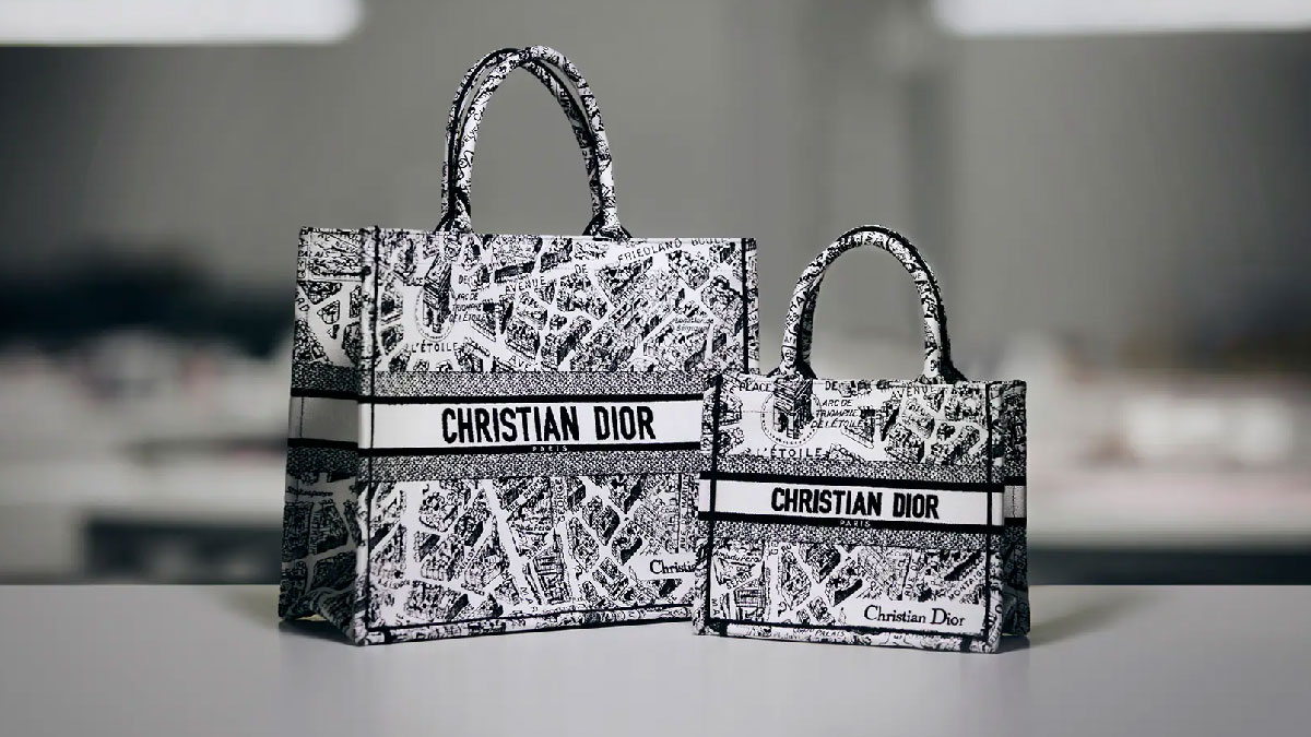 bolsos plan de paris dior