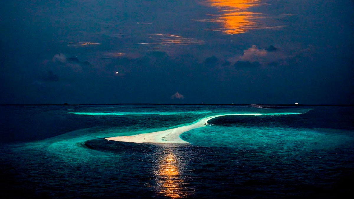 maldivas playa