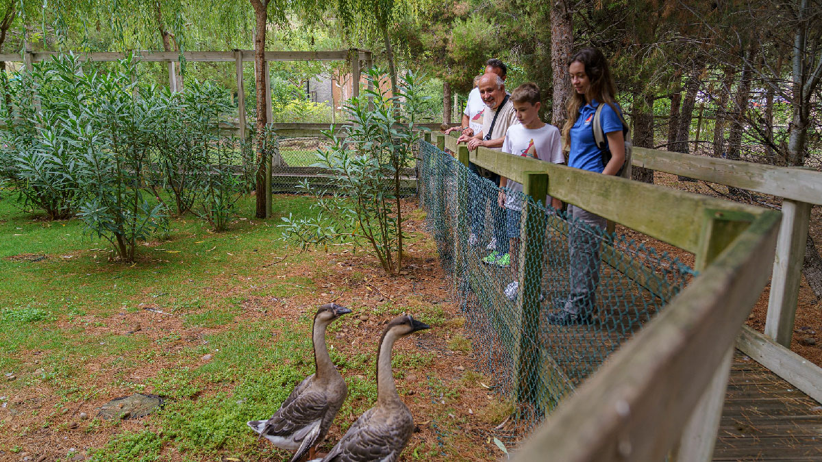 sendaviva animales zoo