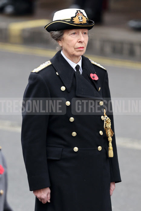 La princesa Ana durante los actos del Día del Recuerdo (Foto: Gtres)