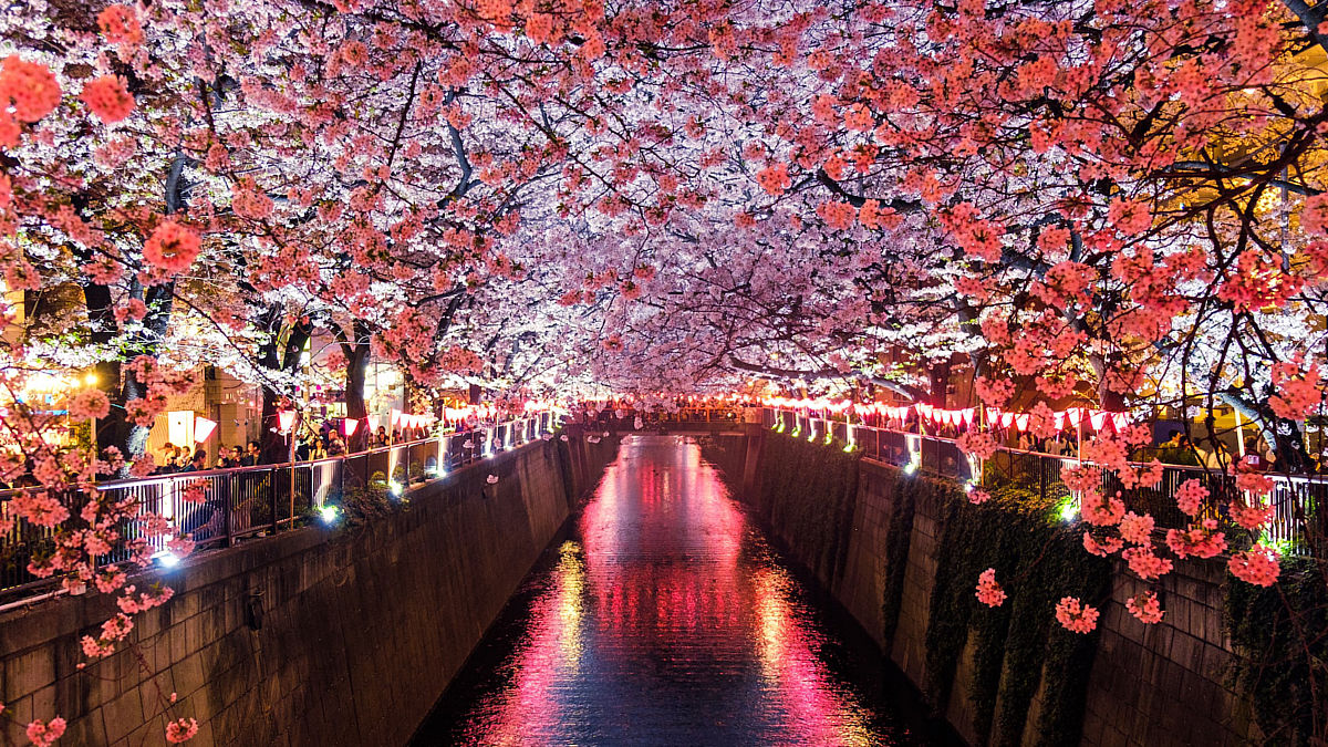 Tokio (Foto: Unsplash)