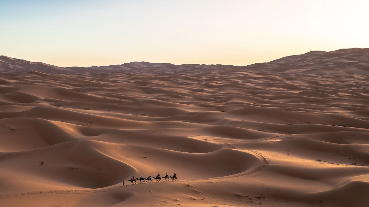 arabia saudita desierto