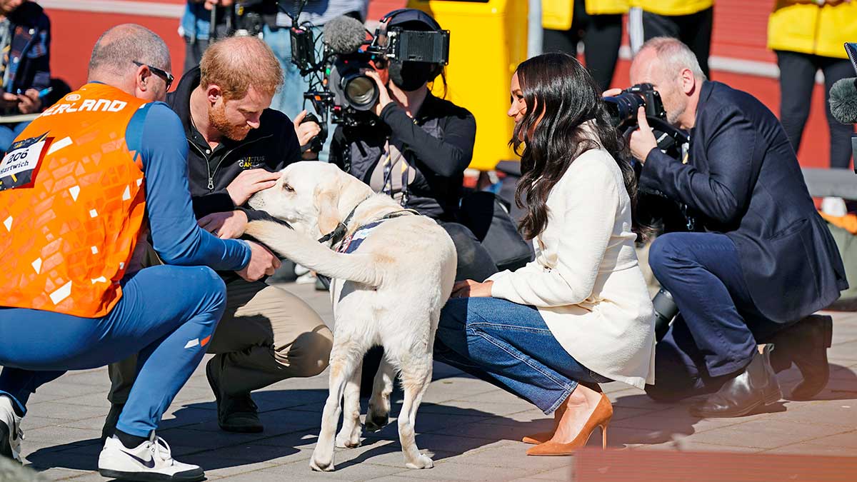 Harry y Meghan perro