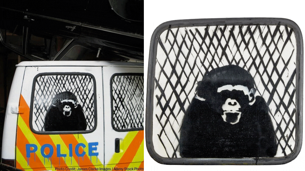 police van chimp