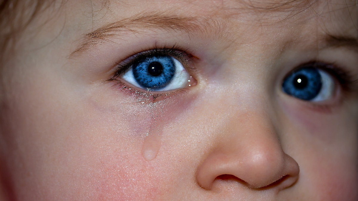 Ojos alergia niños (Foto: Piqsels)