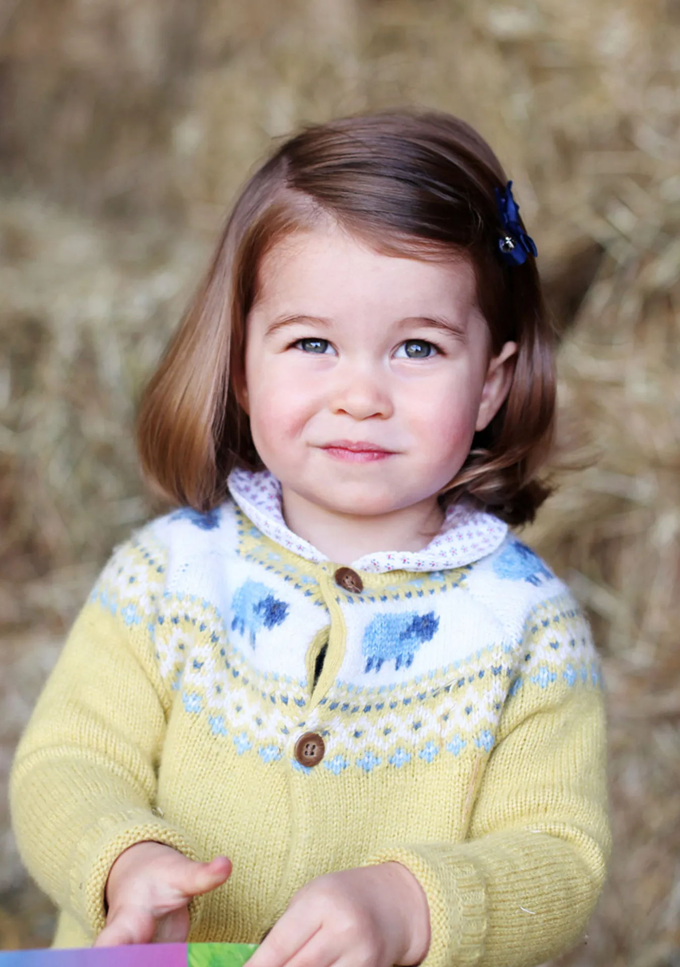 Charlotte Kate Middleton retratos (Foto: Gtres)