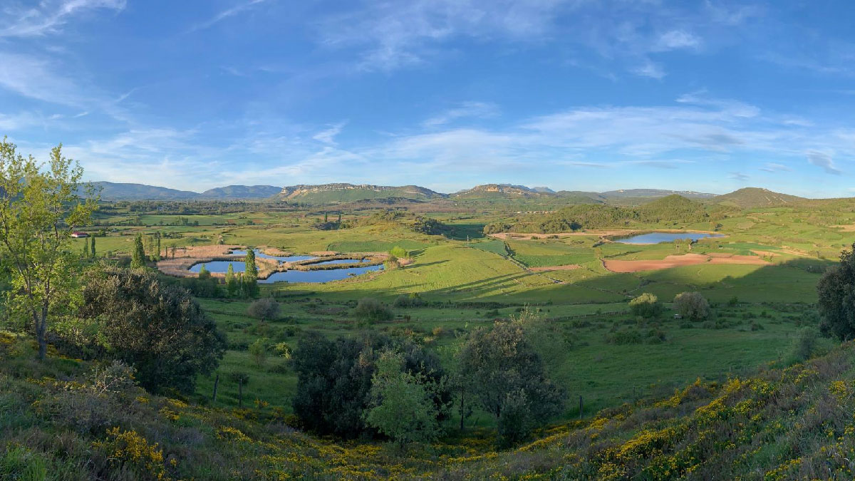 lagunas antuzanos burgos