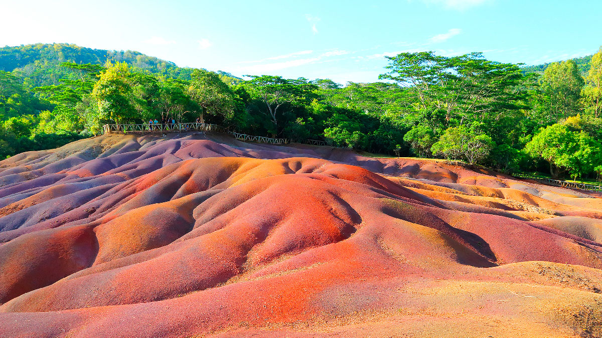 mauricio valle colores