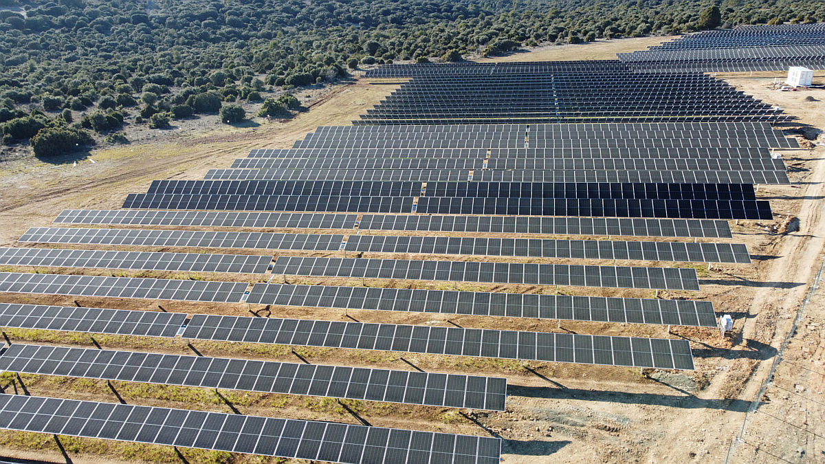 Planta fotovoltaica Canredondo, Guadalajara (Foto: Naturgy)