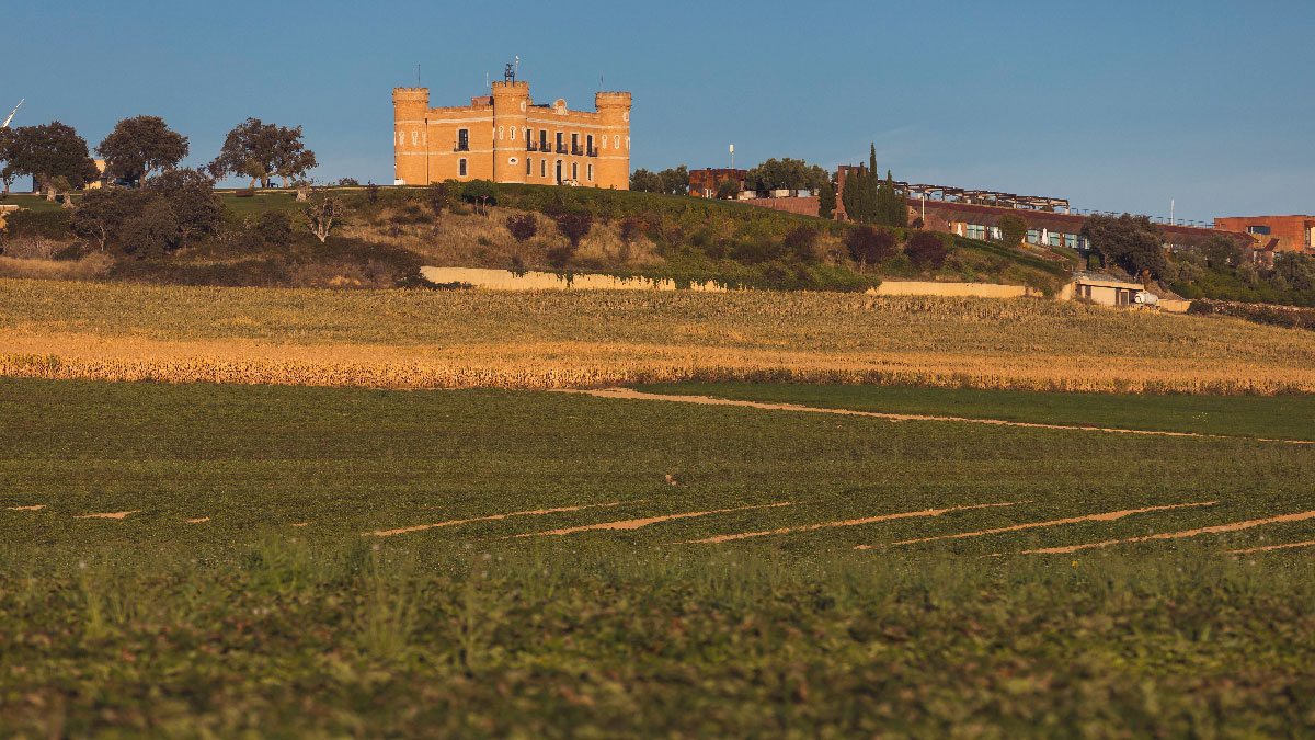 bodegas monte la reina