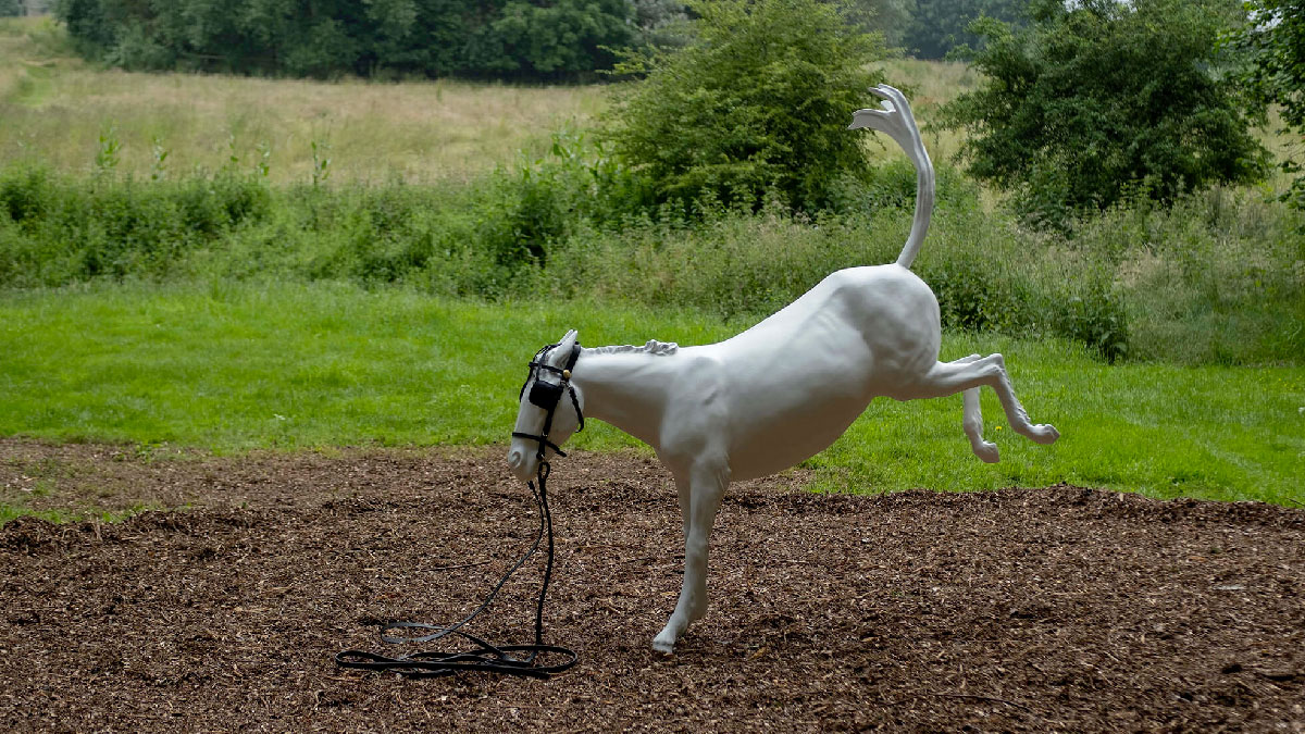 cheval de turin