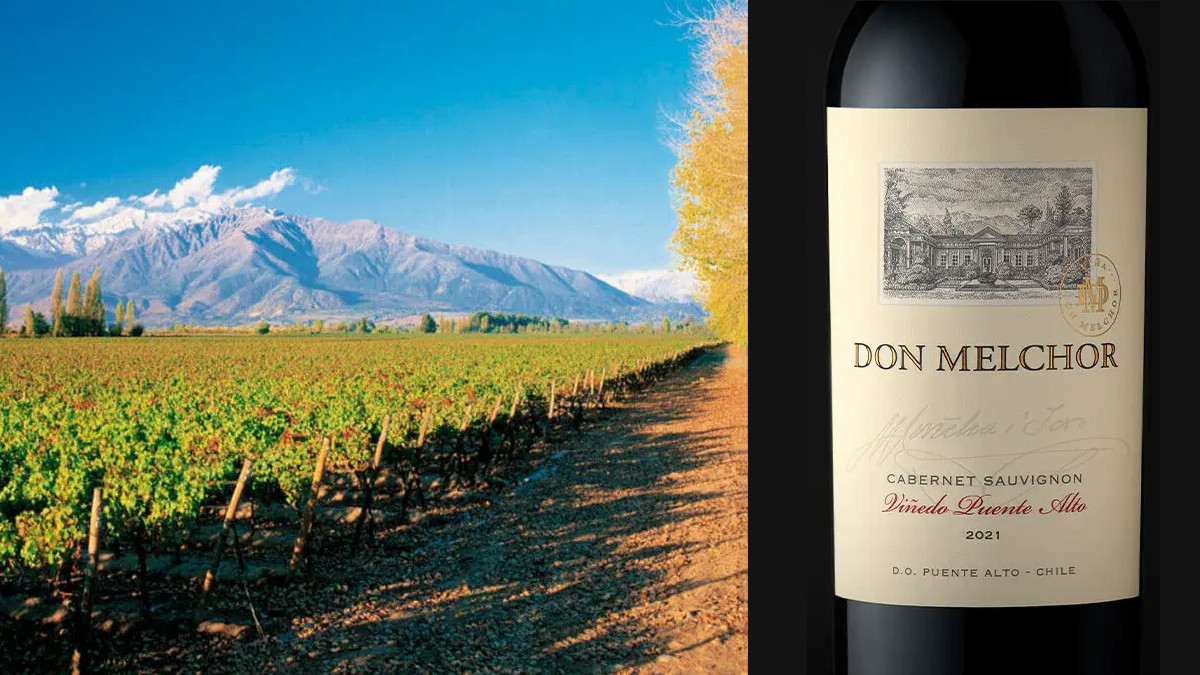 Cabernet Sauvignon de Don Melchor (Foto: Viña Don Melchor)