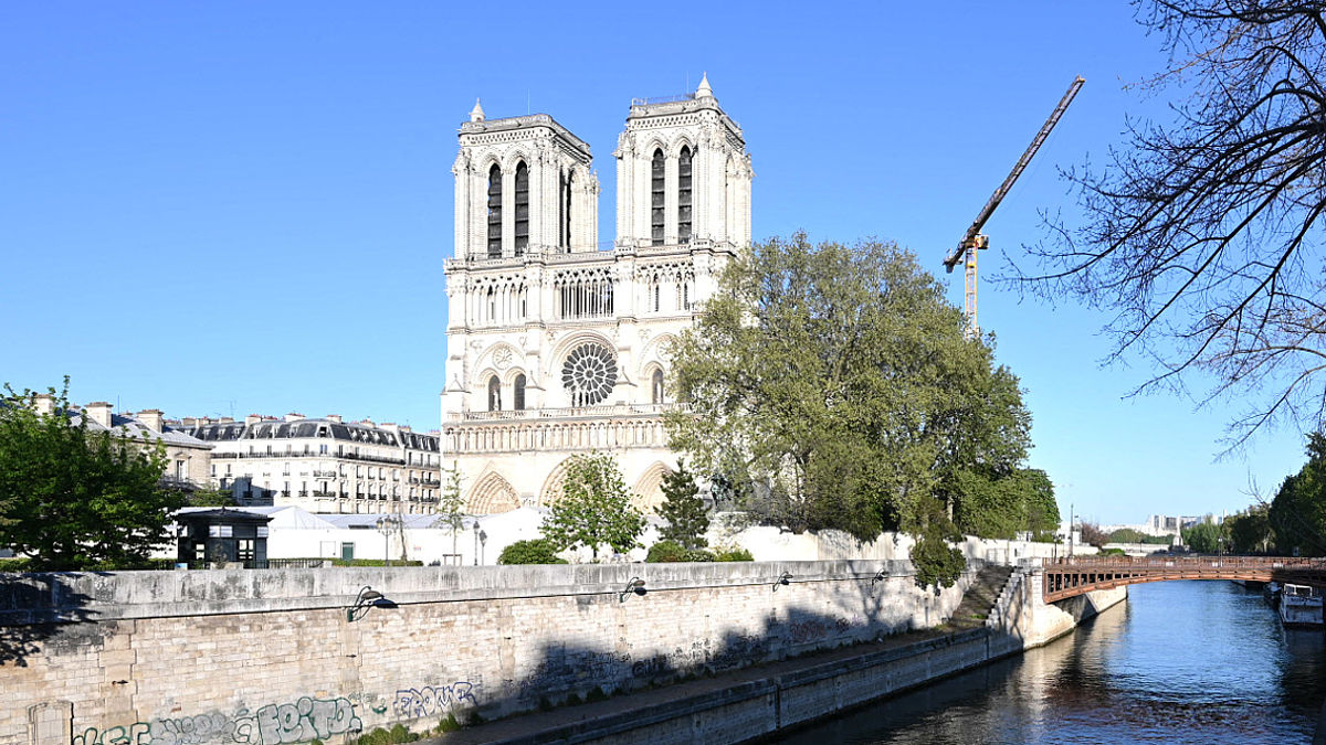 Notre Dame (Foto: Gtres)