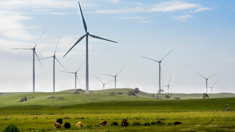 iberdrola australia naturaleza