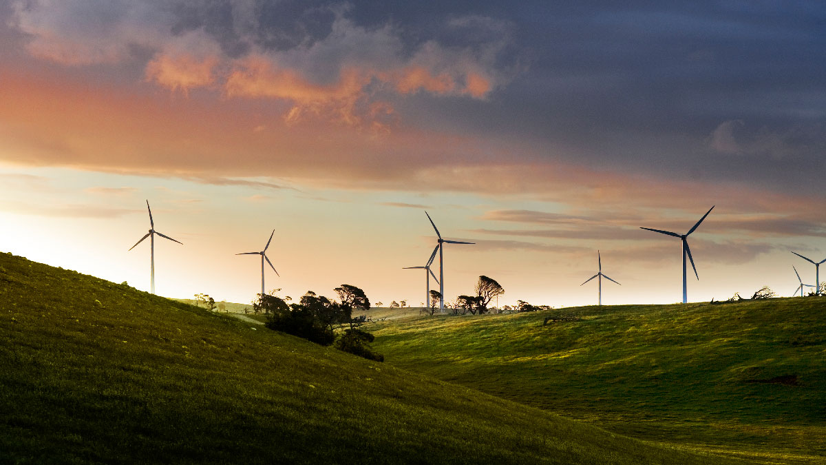 iberdrola australia naturaleza