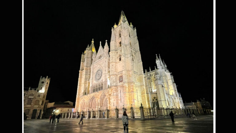 catedral de leon de noche