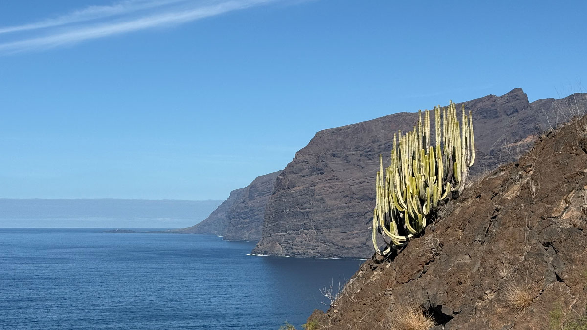 tenerife los gigantes