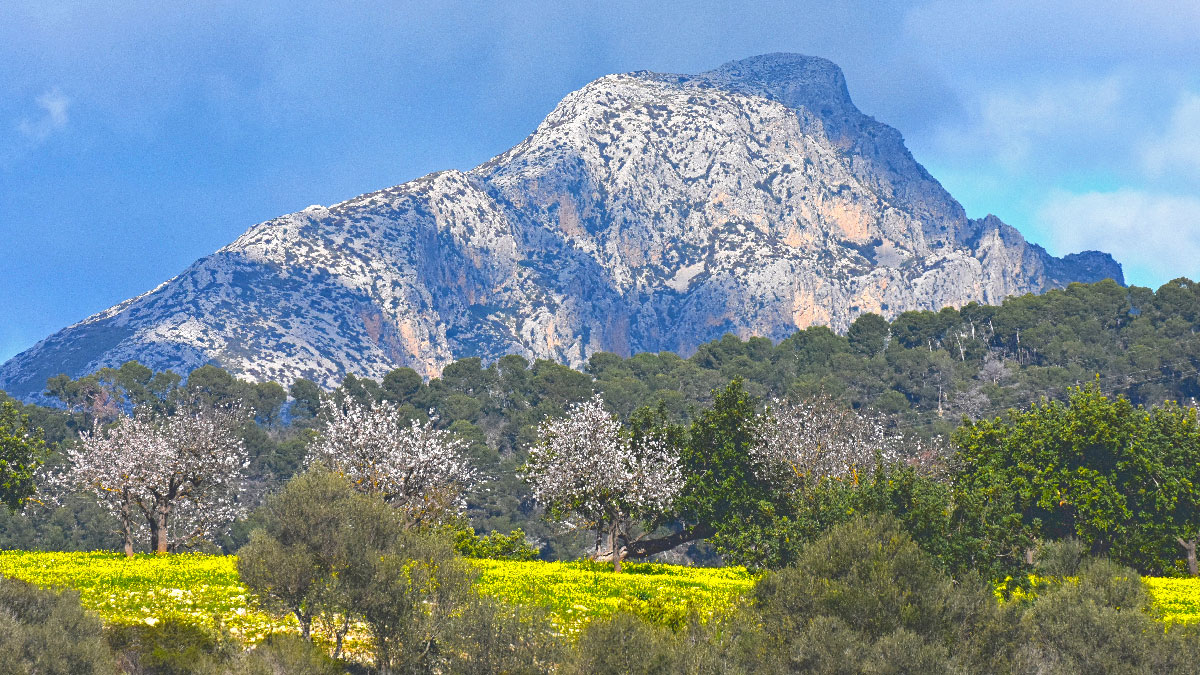 Puig des Galatzó